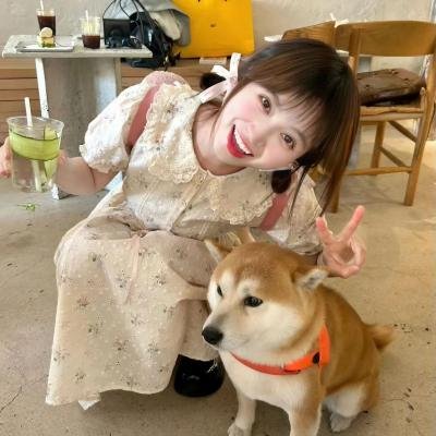 爱情情感